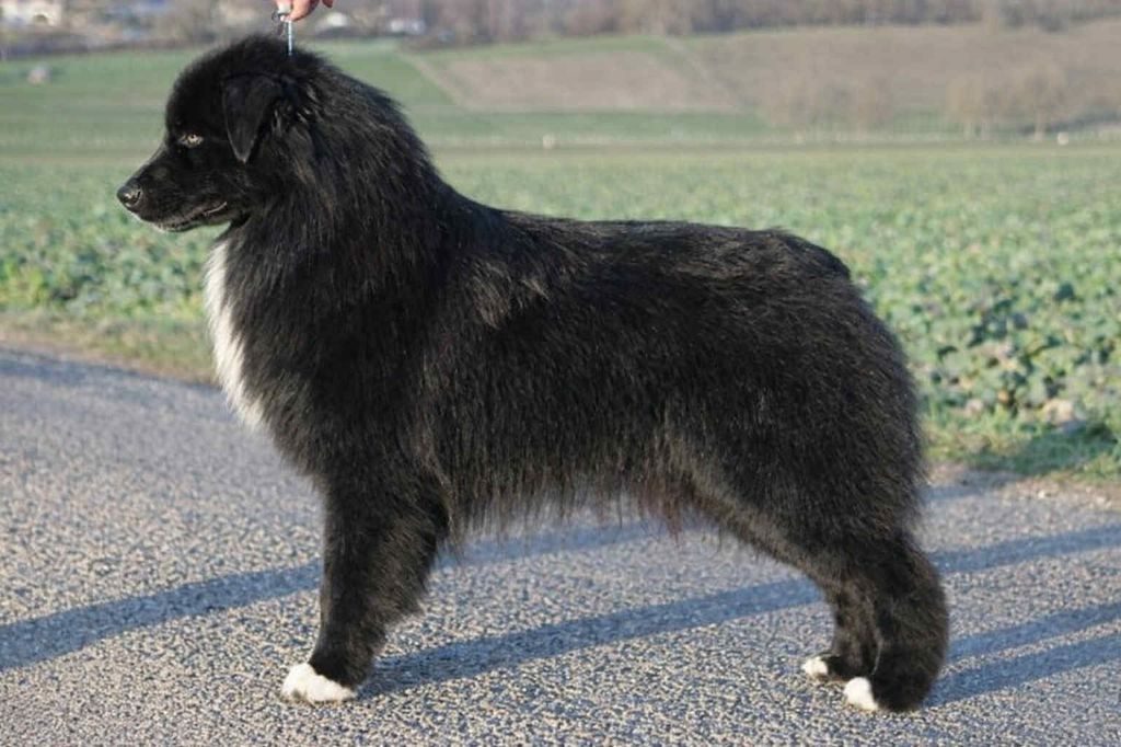 Way to bombers Of crystal lake